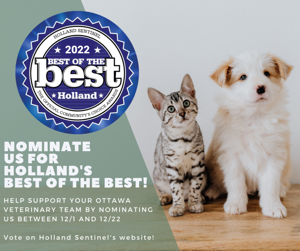 2022 Best Veterinary Clinic in Holland